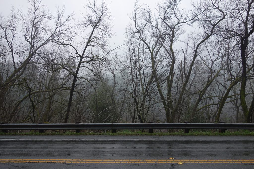 Guerneville 6584