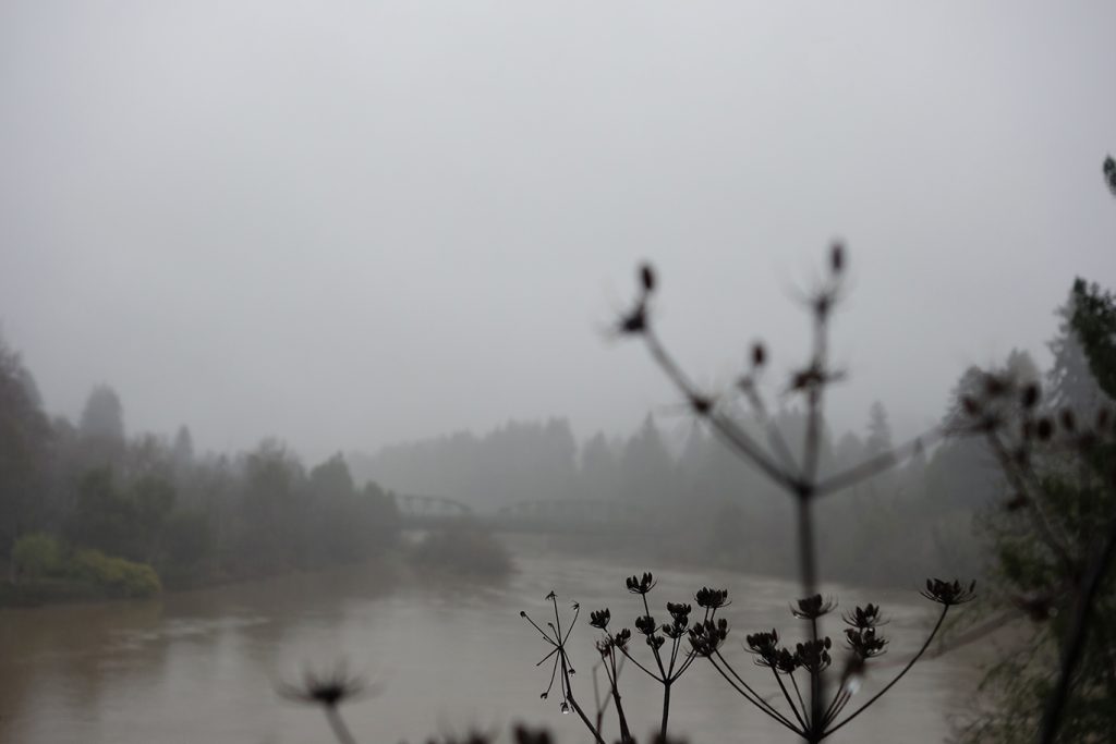 Guerneville 7362