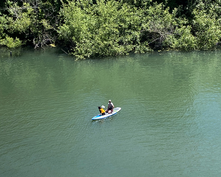 Guerneville 0762