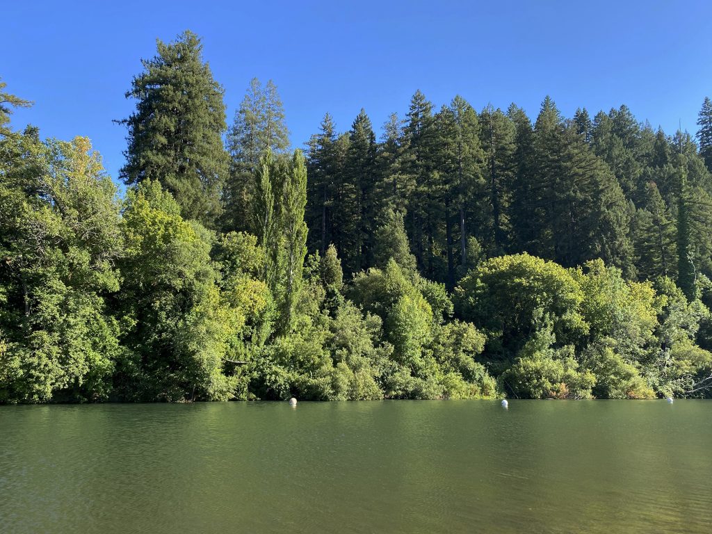 Russian River at Johnson's Beach