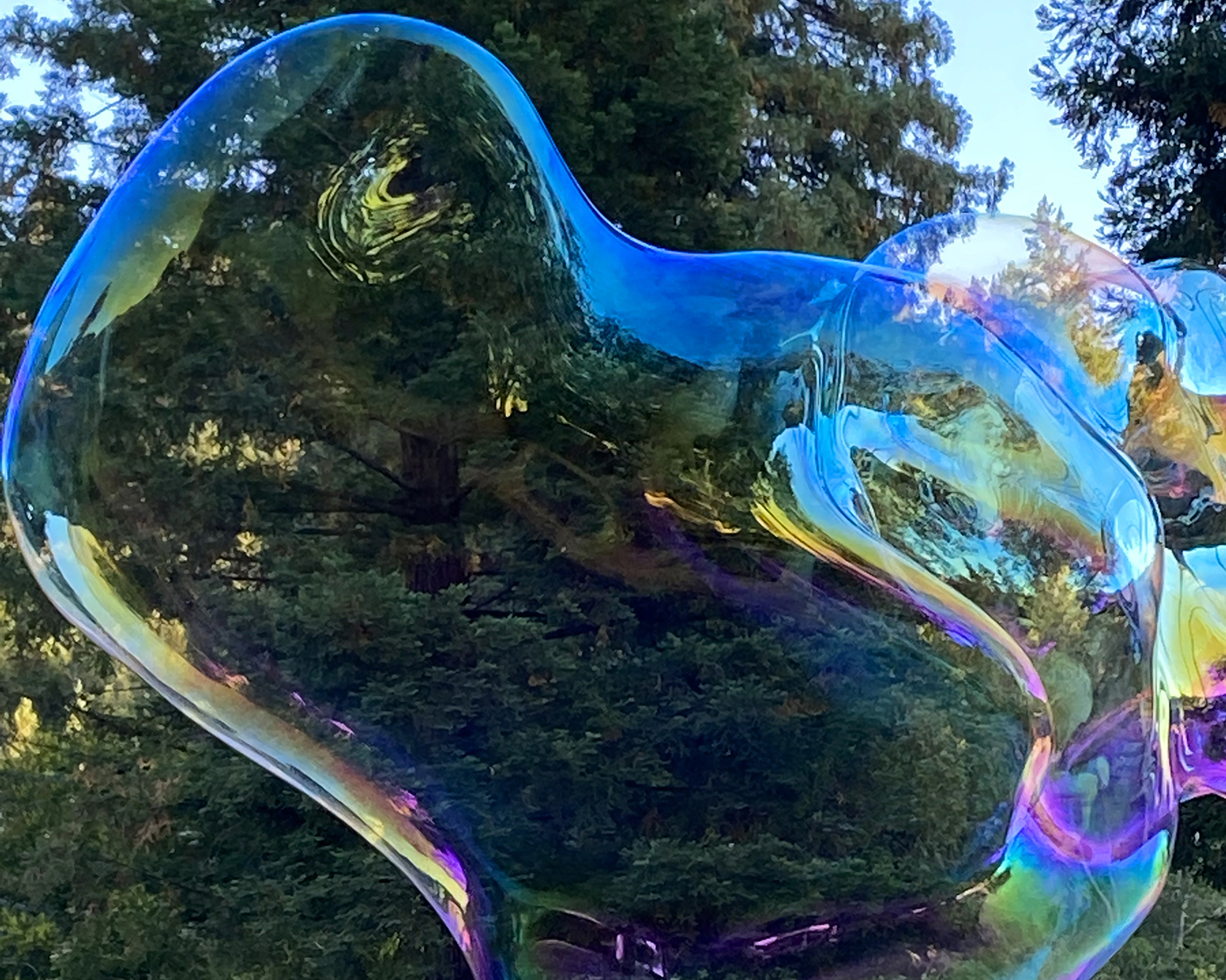 Guerneville 2432