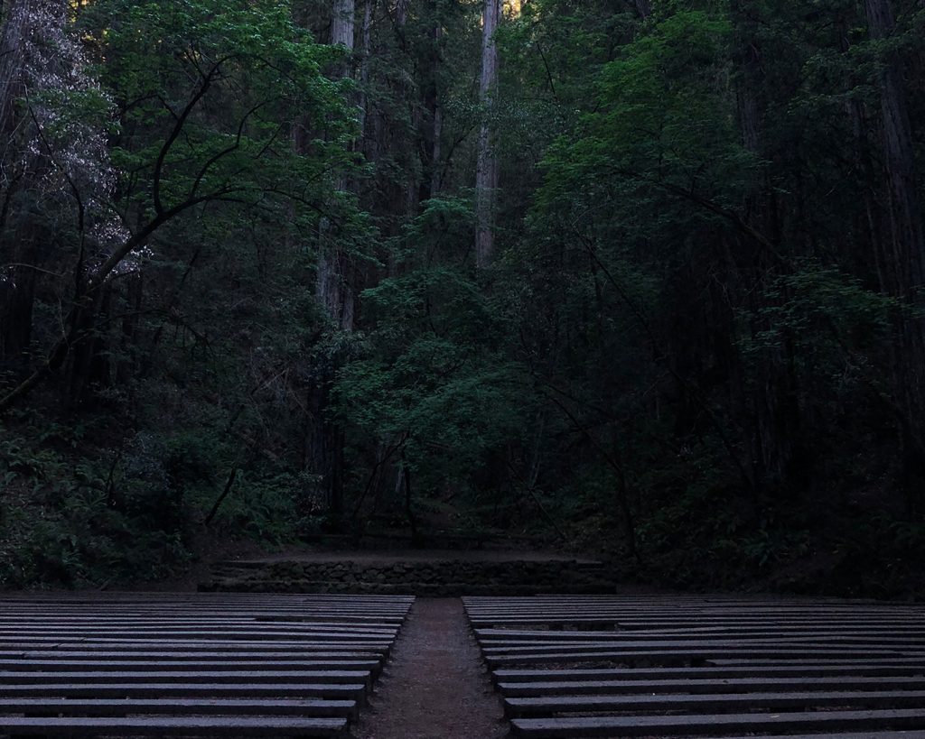 Armstrong Woods Amphitheater